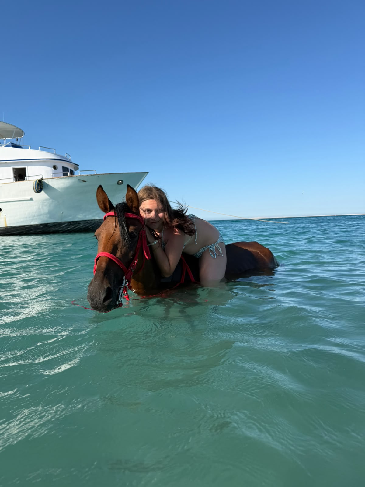 Rehana Horse moment 26