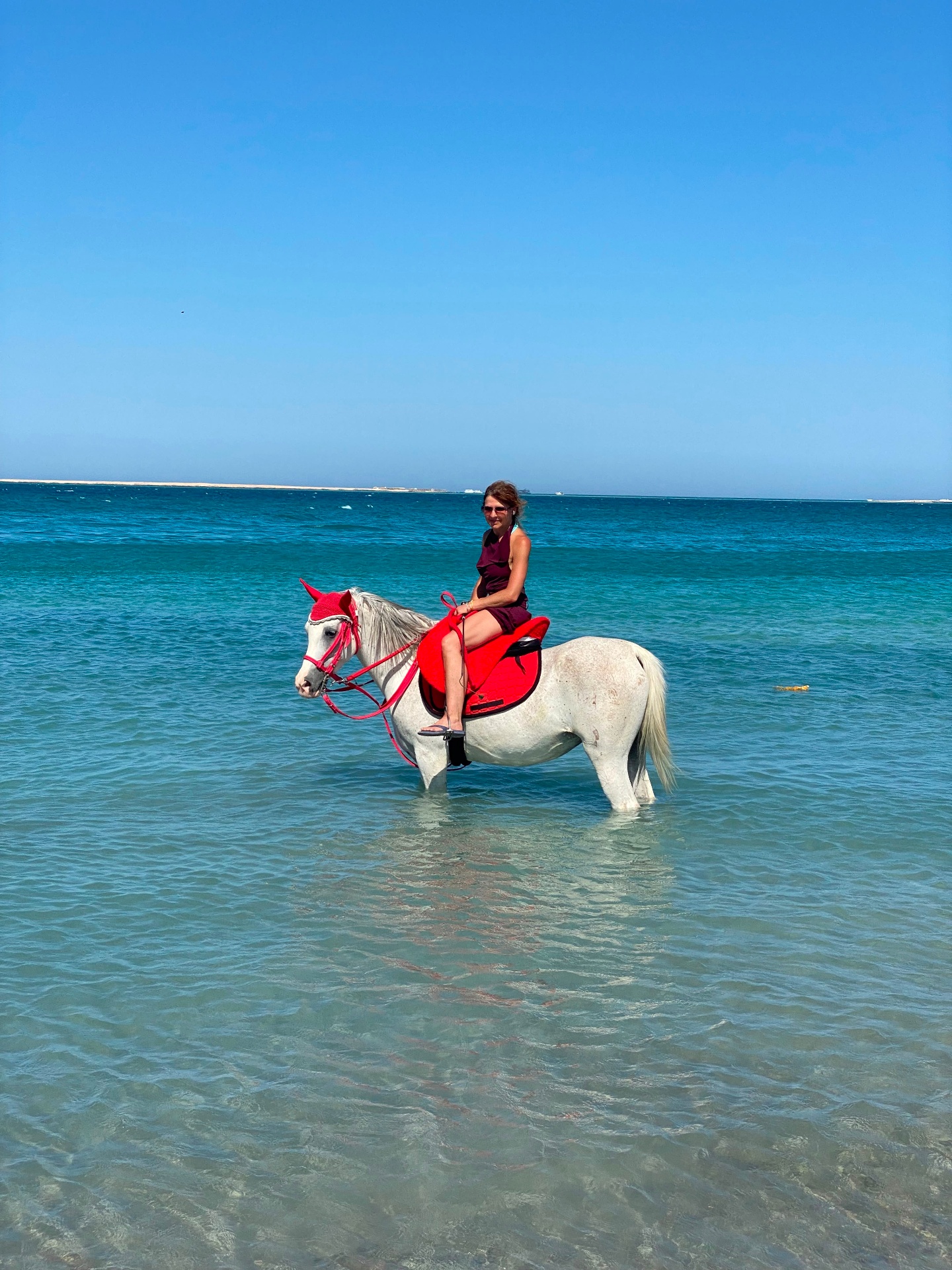 Rehana Horse moment 20