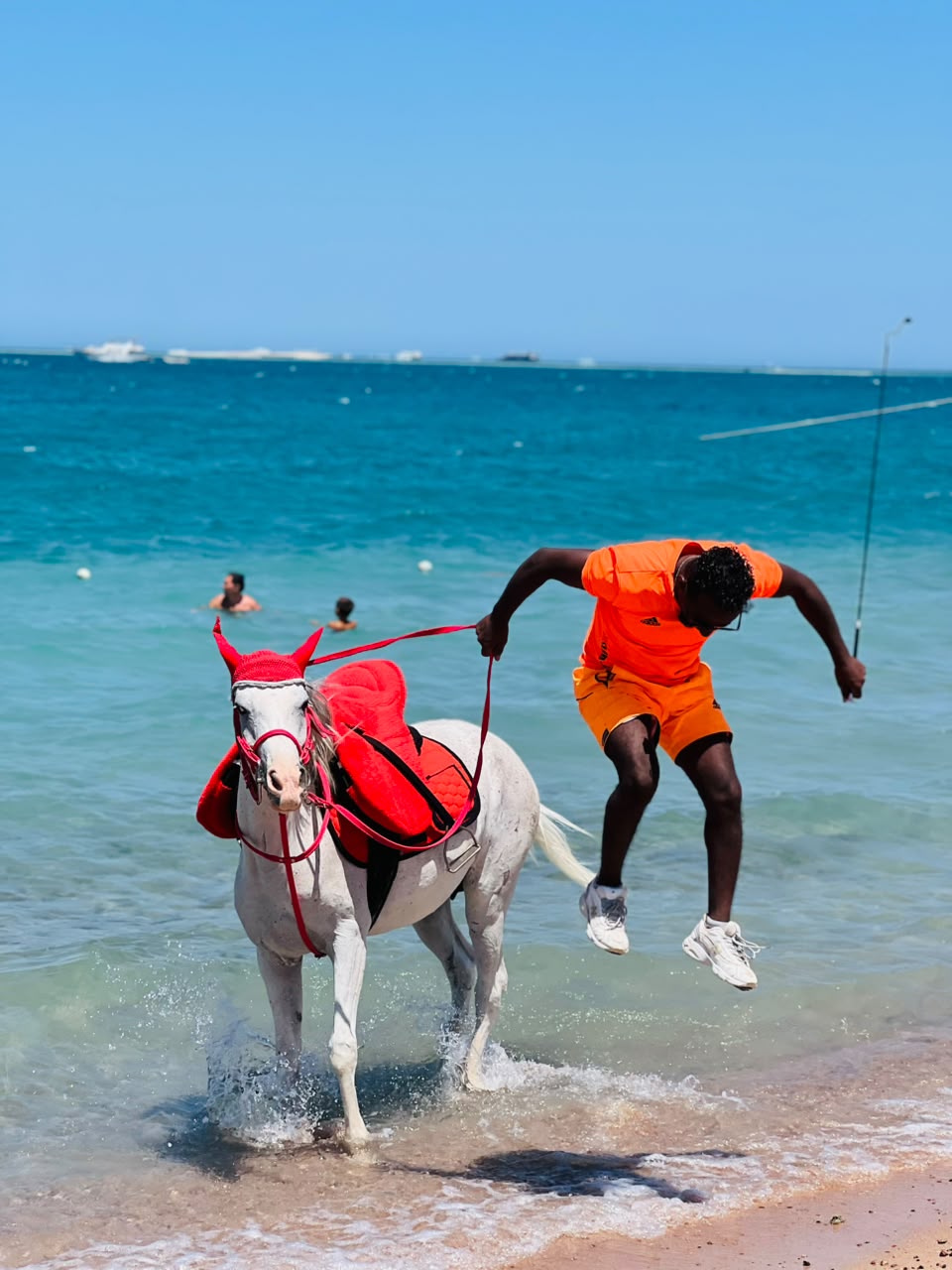 Flight was the horse