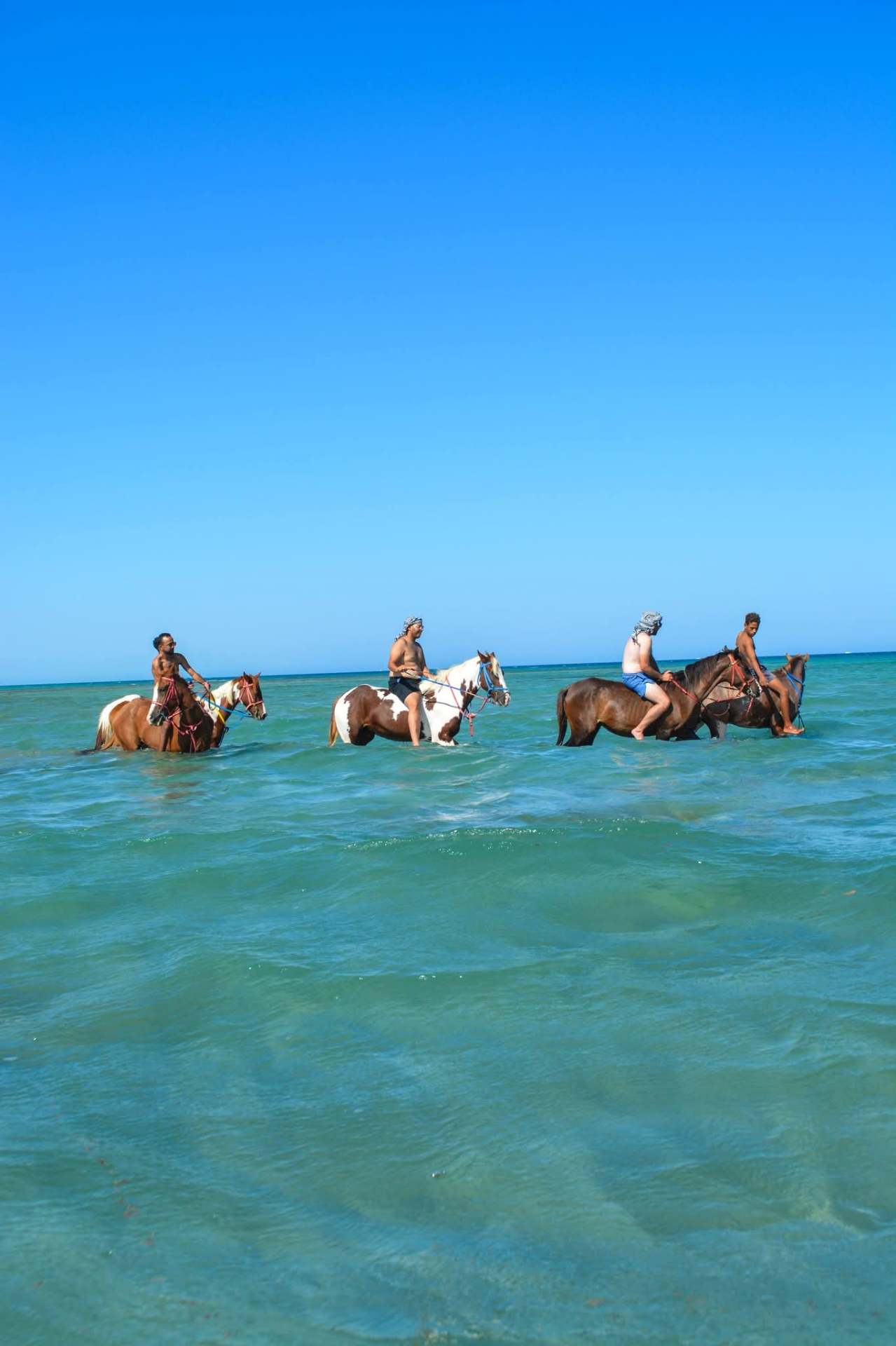 Rehana Horse moment 13