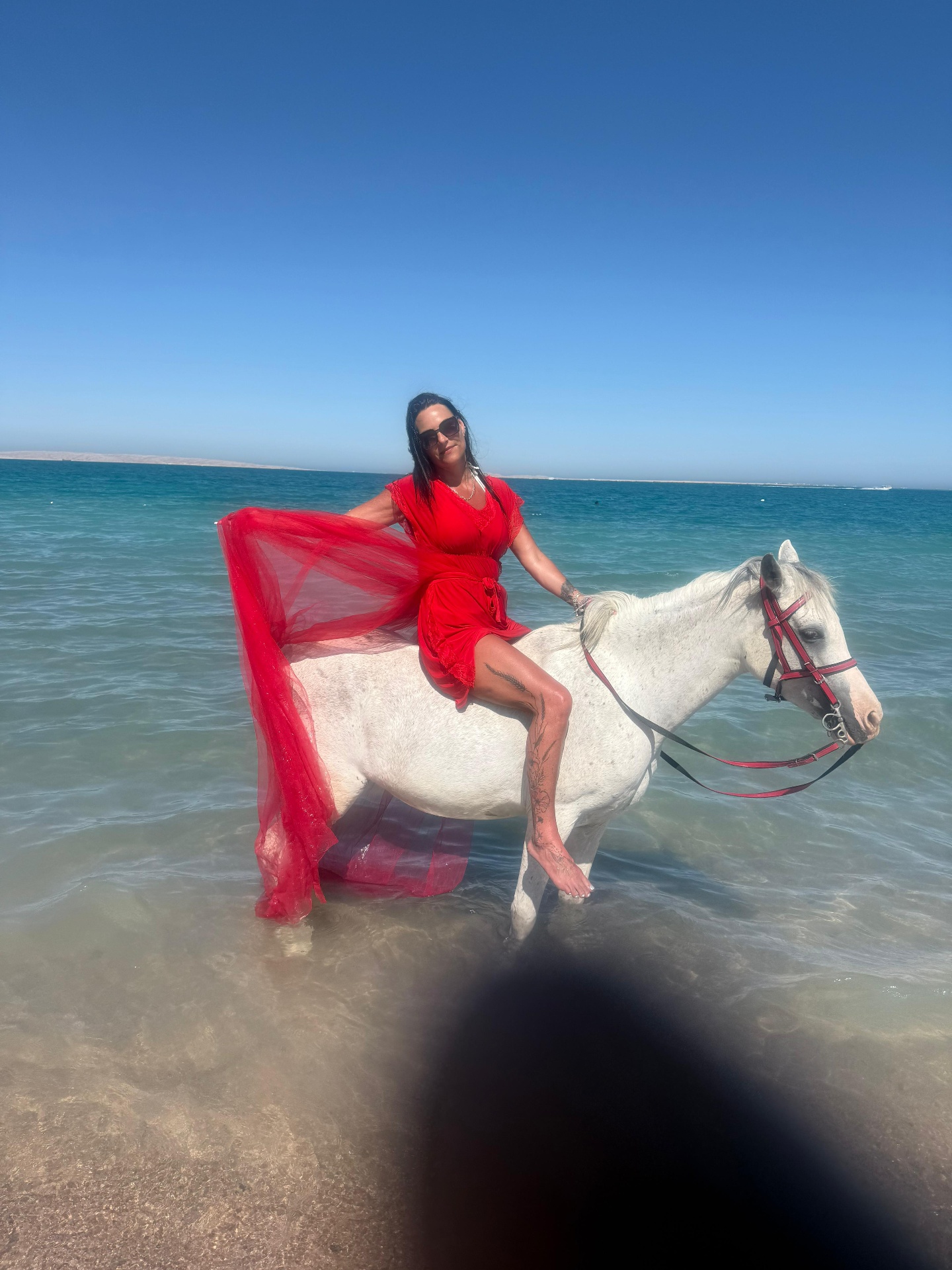 Rehana Horse moment 15