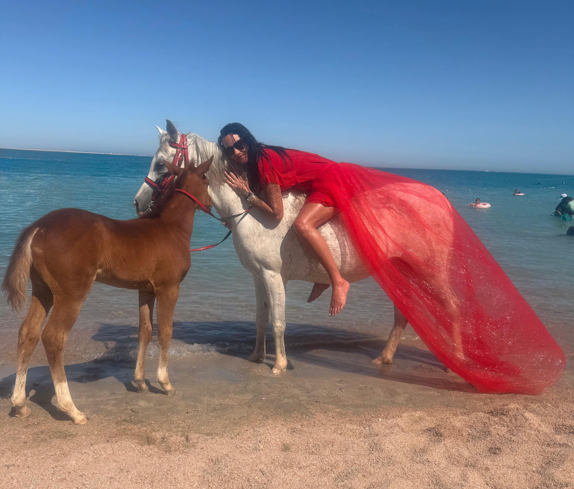 Rehana Horse moment 17