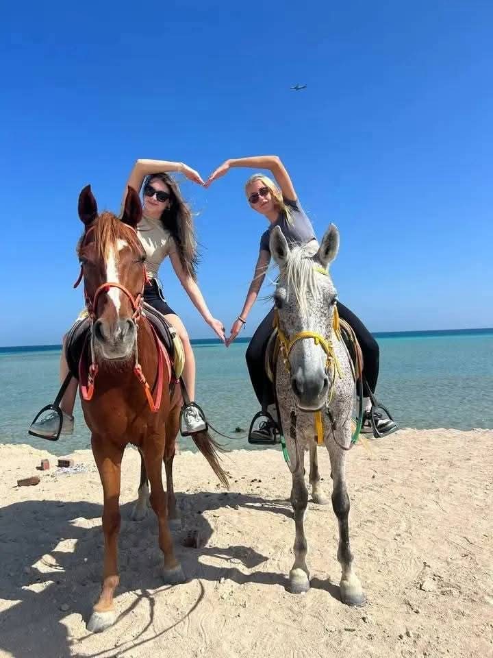 Rehana Horse moment 5
